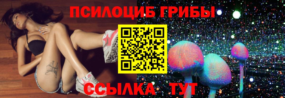 Псилоцибиновые грибы мухоморы  Псилоцибиновые грибы Psilocybine cubensis  Клин  Вход с VPN 